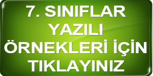 11 yazililar
